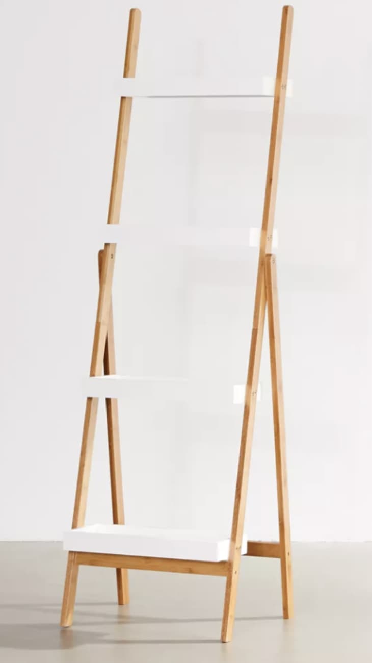 These Ladder Bookshelves Will Solve All of Your Organization Needs